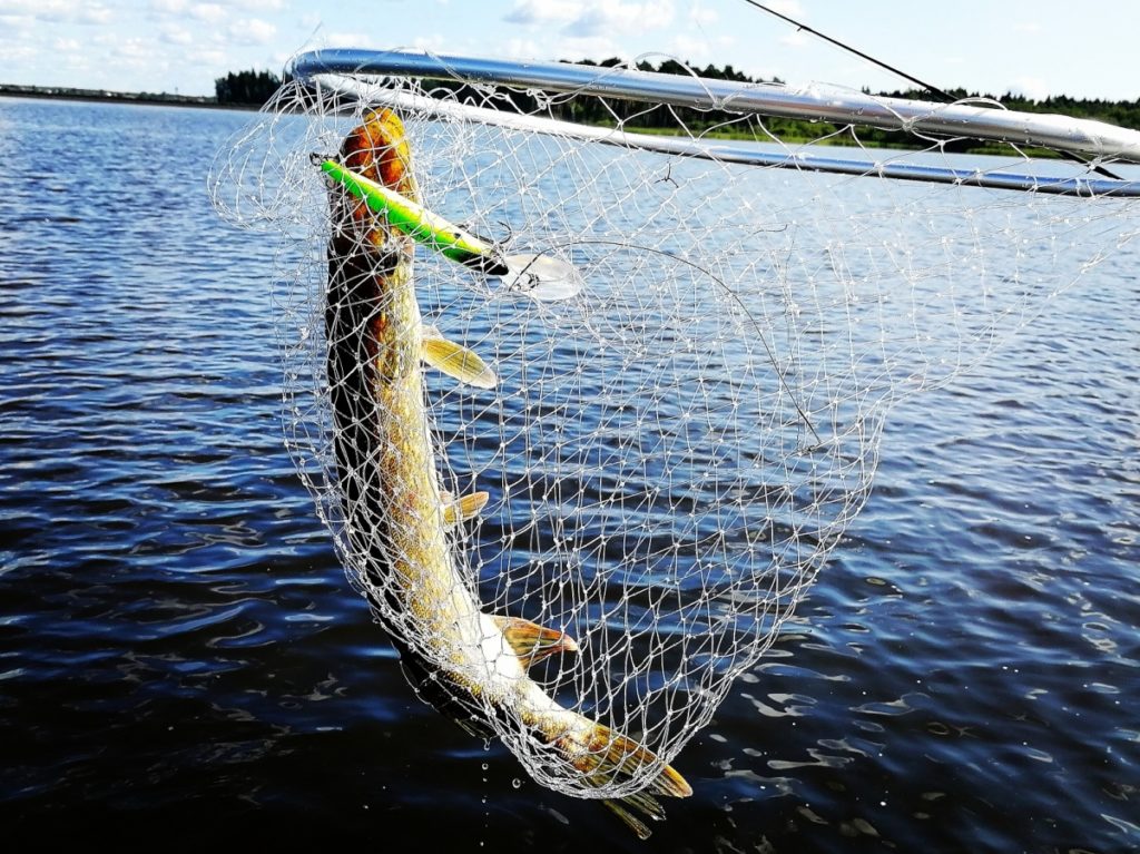 Тверские рыболовы разыграют кубок «RusAllochki» Тверские рыболовы разыграют кубок «RusAllochki»