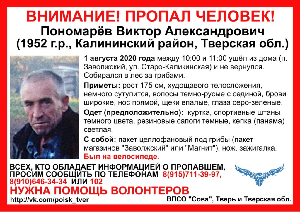 Житель Тверской области отправился в лес за грибами и пропал