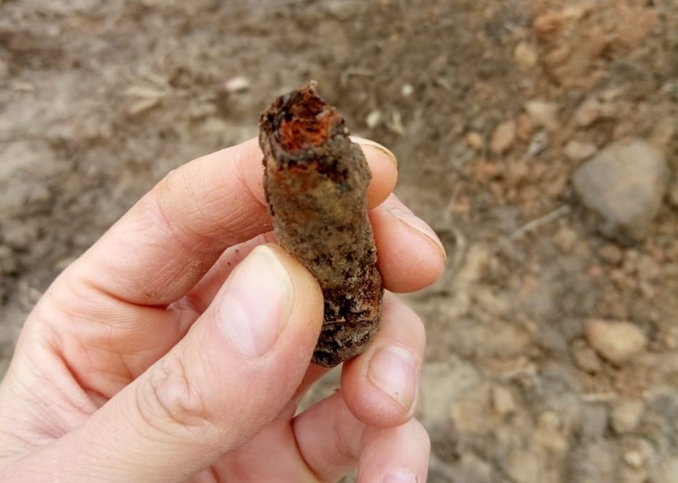 В Тверской области обнаружили останки одиннадцати советских военнослужащих