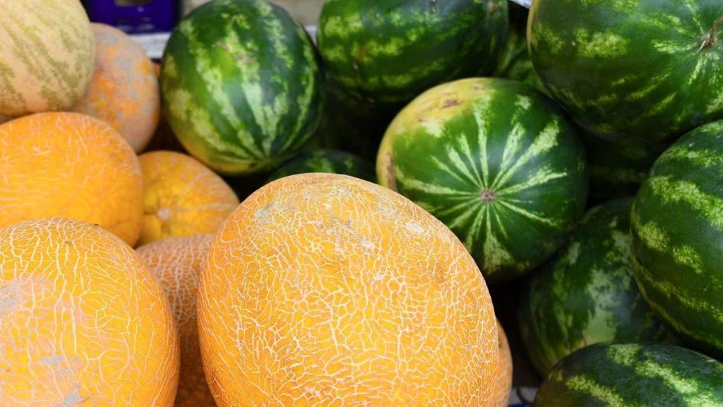 В Тверскую область завезли опасные арбузы и дыни В Тверскую область завезли опасные арбузы и дыни