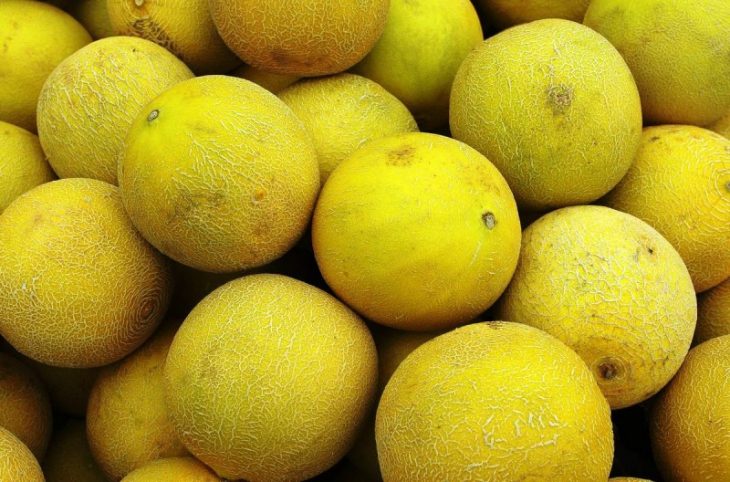 Как выбрать самую вкусную дыню в Тверской области Как выбрать самую вкусную дыню в Тверской области