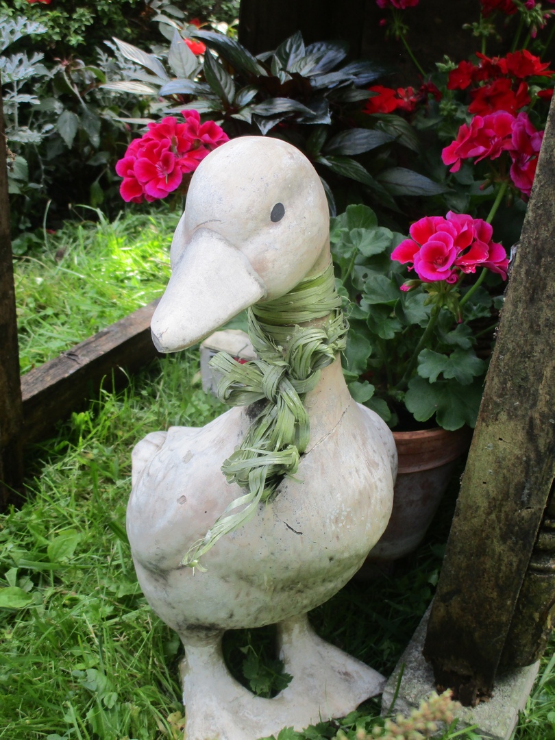 Тверской Ботанический сад готовит новую выставку