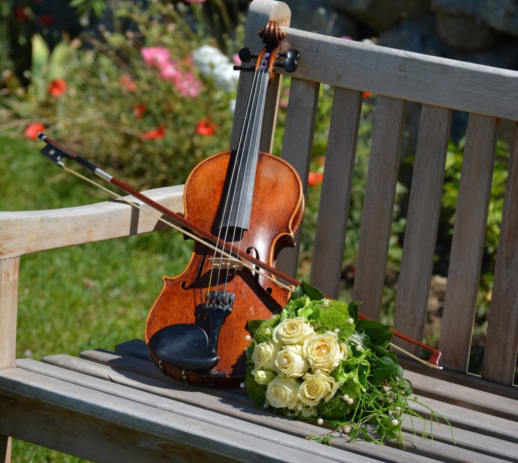 В тверском Ботаническом саду пройдет вечер музыки В тверском Ботаническом саду пройдет вечер музыки