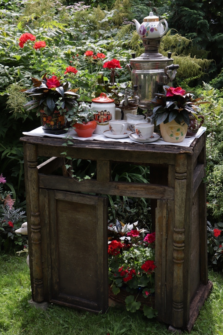 В тверском Ботаническом саду открыли самую трогательную выставку цветов