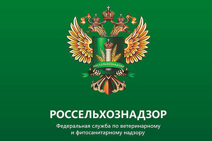 В работе районной станции по борьбе с болезнями животных в Тверской области выявили нарушения В работе районной станции по борьбе с болезнями животных в Тверской области выявили нарушения