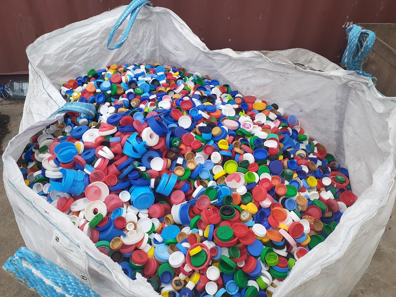 "Добрые крышечки" в Твери: как люди приходят в эко-активизм и спасают природу