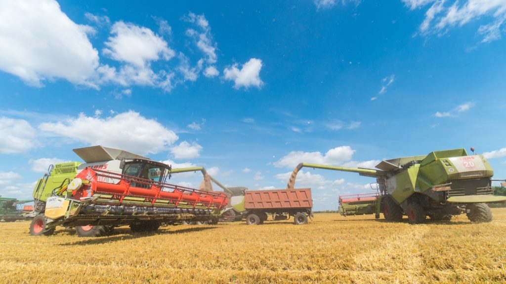В Ржевском районе завершают уборку озимых