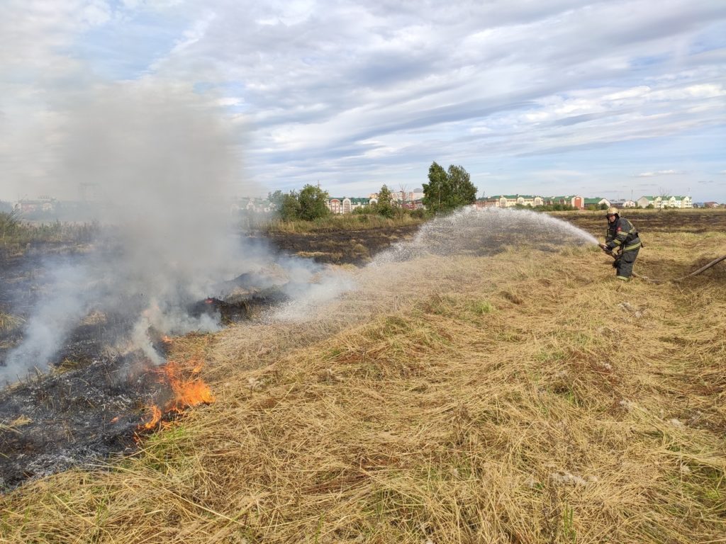В сеть попали фотографии пожара на поле в Твери В сеть попали фотографии пожара на поле в Твери