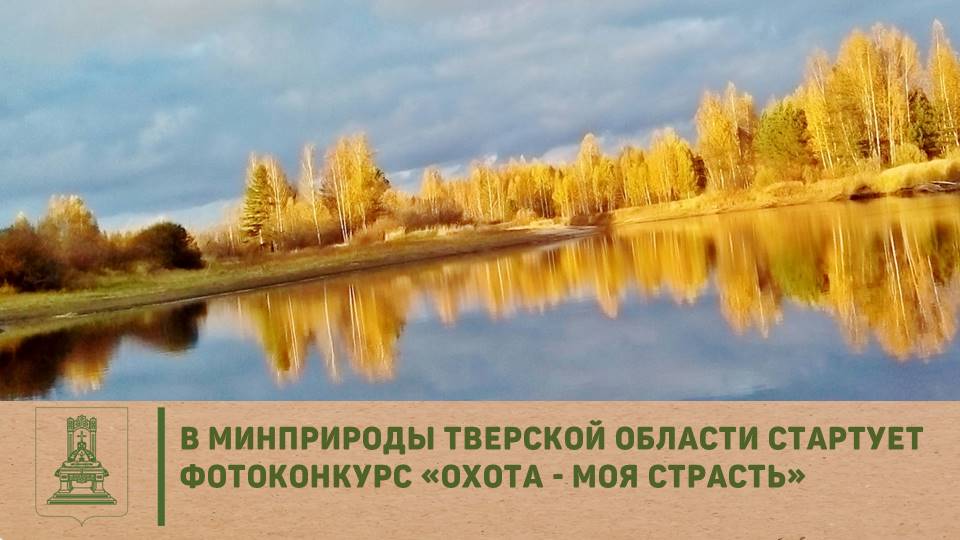 Фотоконкурс для любителей охоты стартовал в Тверской области Фотоконкурс для любителей охоты стартовал в Тверской области