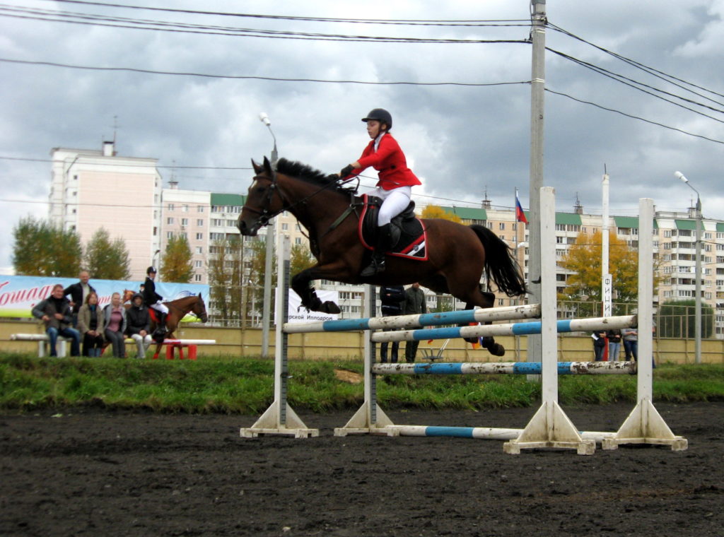 На тверском ипподроме пройдет "День лошади"