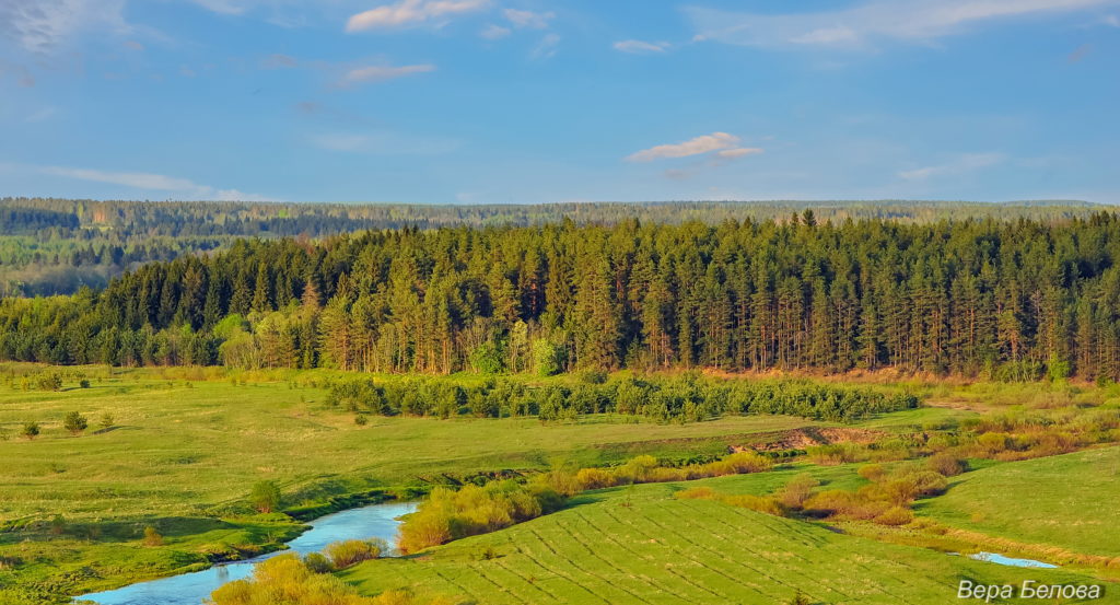 Охота – моя страсть: итоги фотоконкурса подвели в министерстве Тверской области