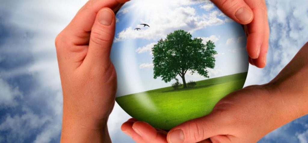 В Твери напишут экодиктант