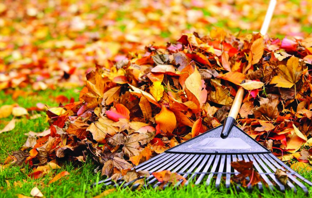 Двухмесячник чистоты стартовал в Ржеве Двухмесячник чистоты стартовал в Ржеве