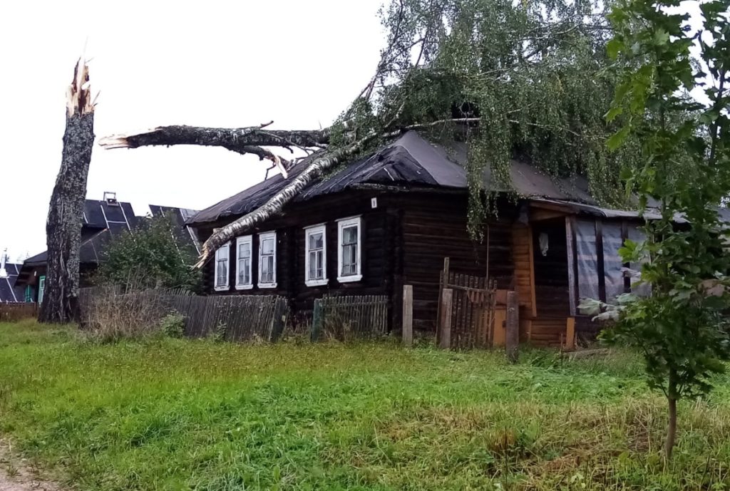 Ураганный ветер в Тверской области срывал крыши и валил деревья