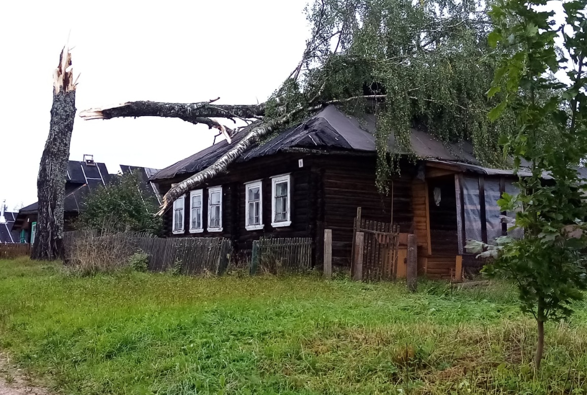Ураганный ветер в Тверской области срывал крыши и валил деревья Ураганный ветер в Тверской области срывал крыши и валил деревья