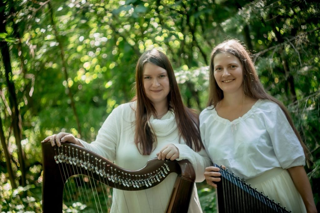 Жителей Твери приглашают на концерт ирландской музыки