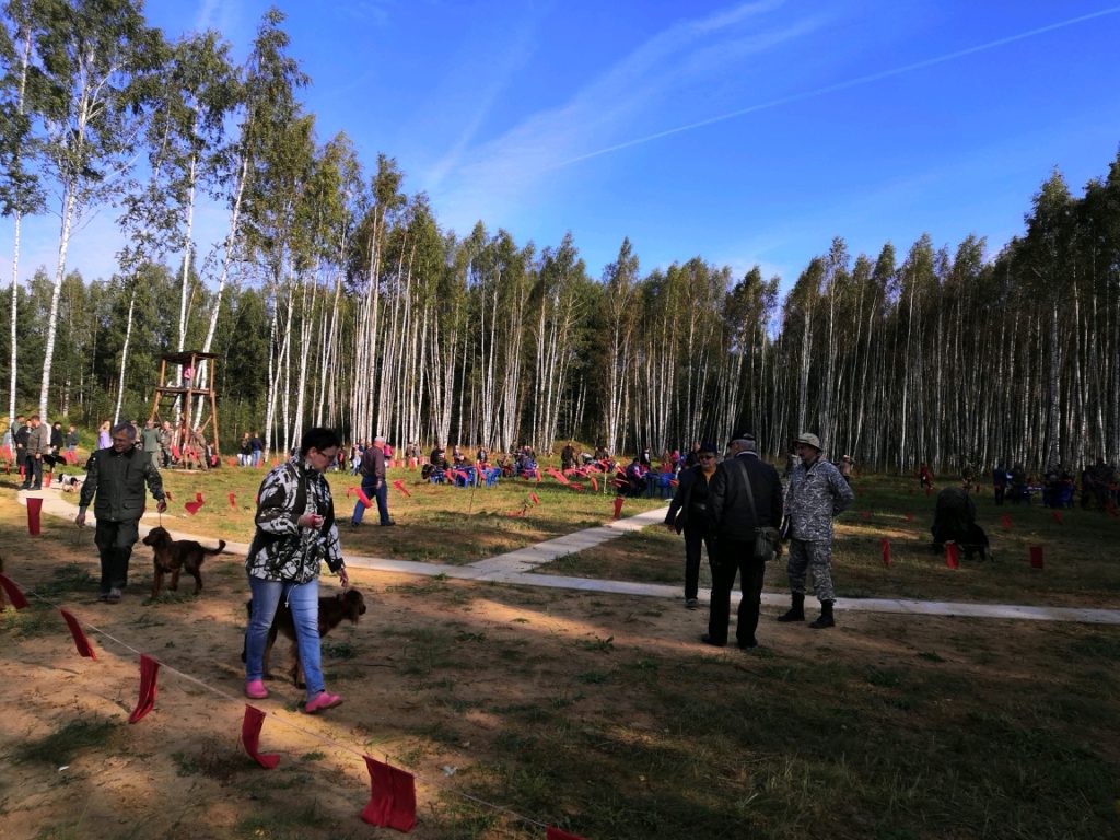 В Тверской области определили самого страстного охотника