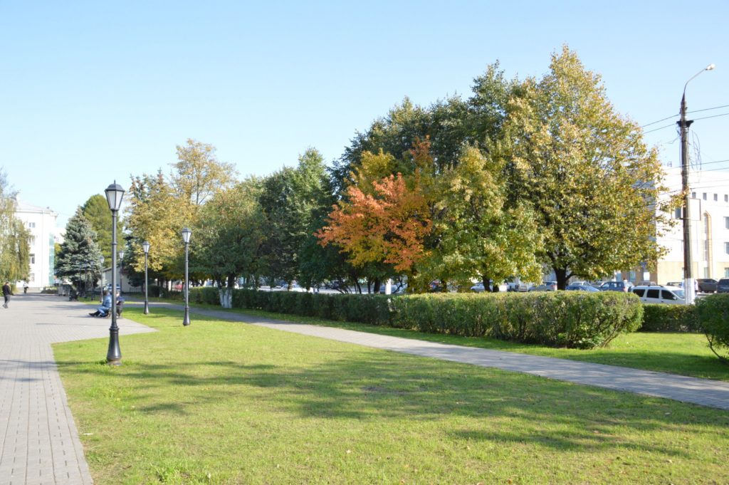 В Твери продолжают облагораживать газоны