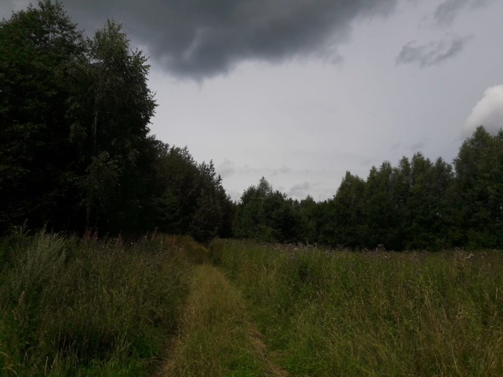 Тверские волонтеры рассказали, как рассудок помог человеку в опасности