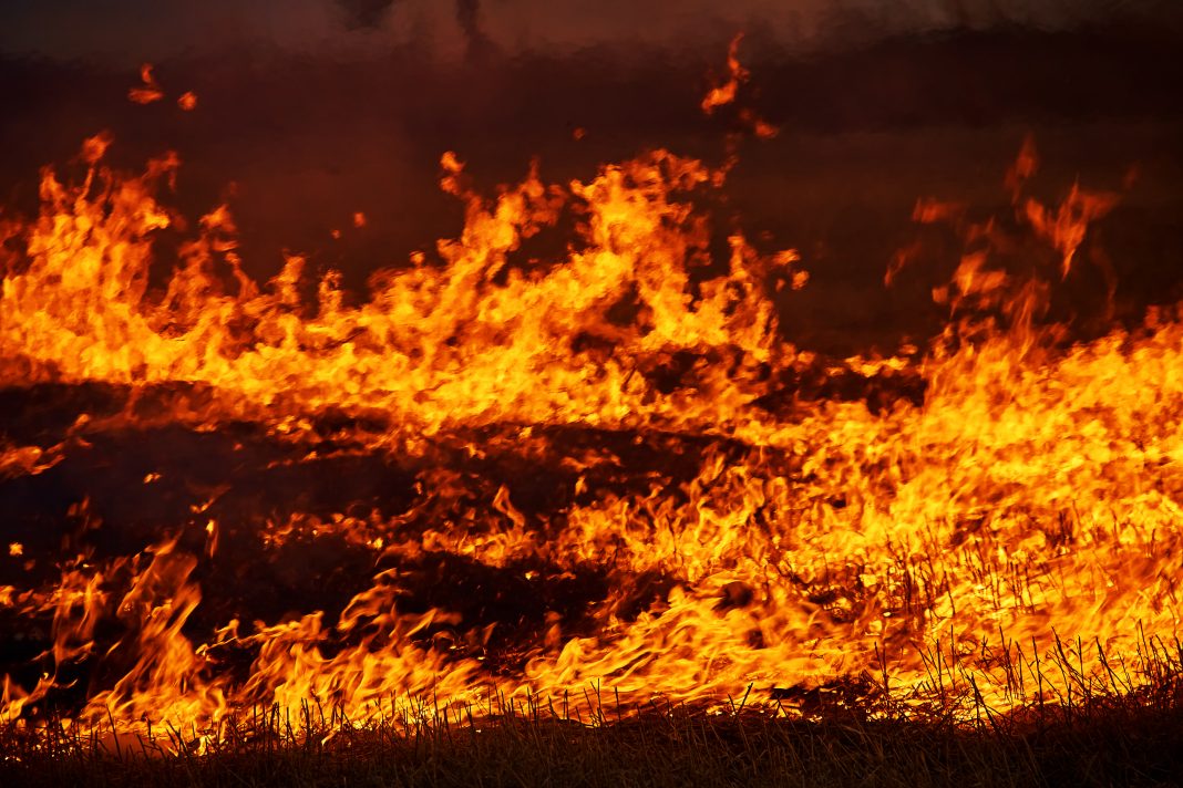 В Тверской области может увеличиться число пожаров
