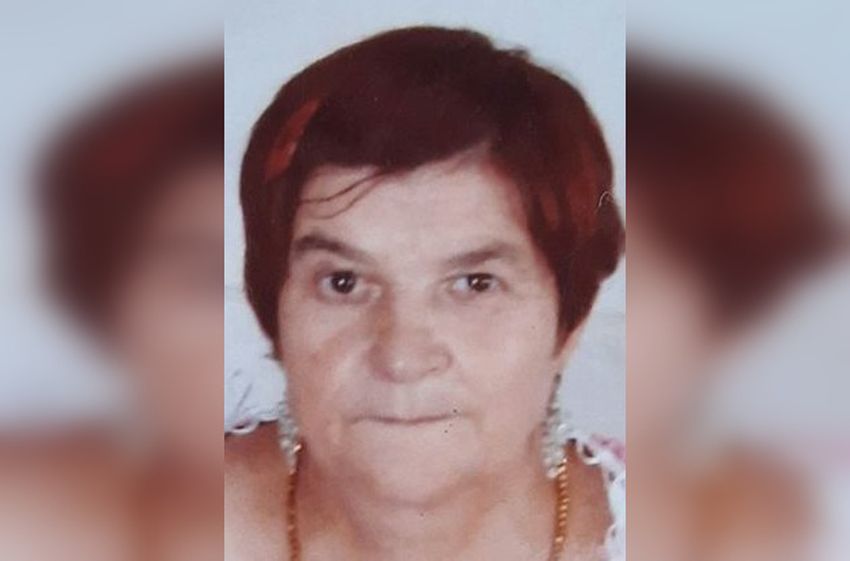 В лесах Удомельского района ищут 70-летнюю женщину В лесах Удомельского района ищут 70-летнюю женщину