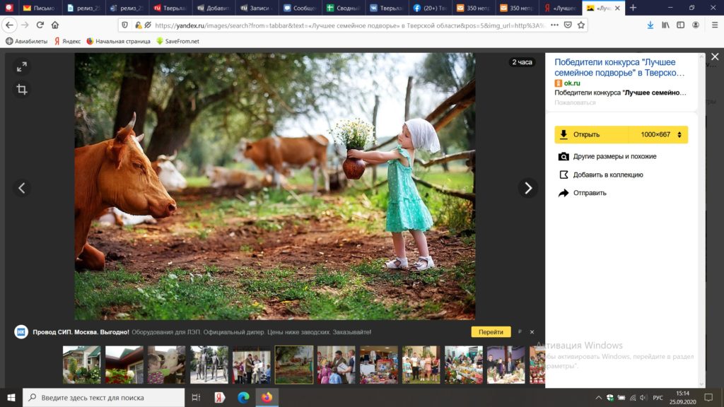 Победители конкурса «Лучшее семейное подворье» в Тверской области получат призы