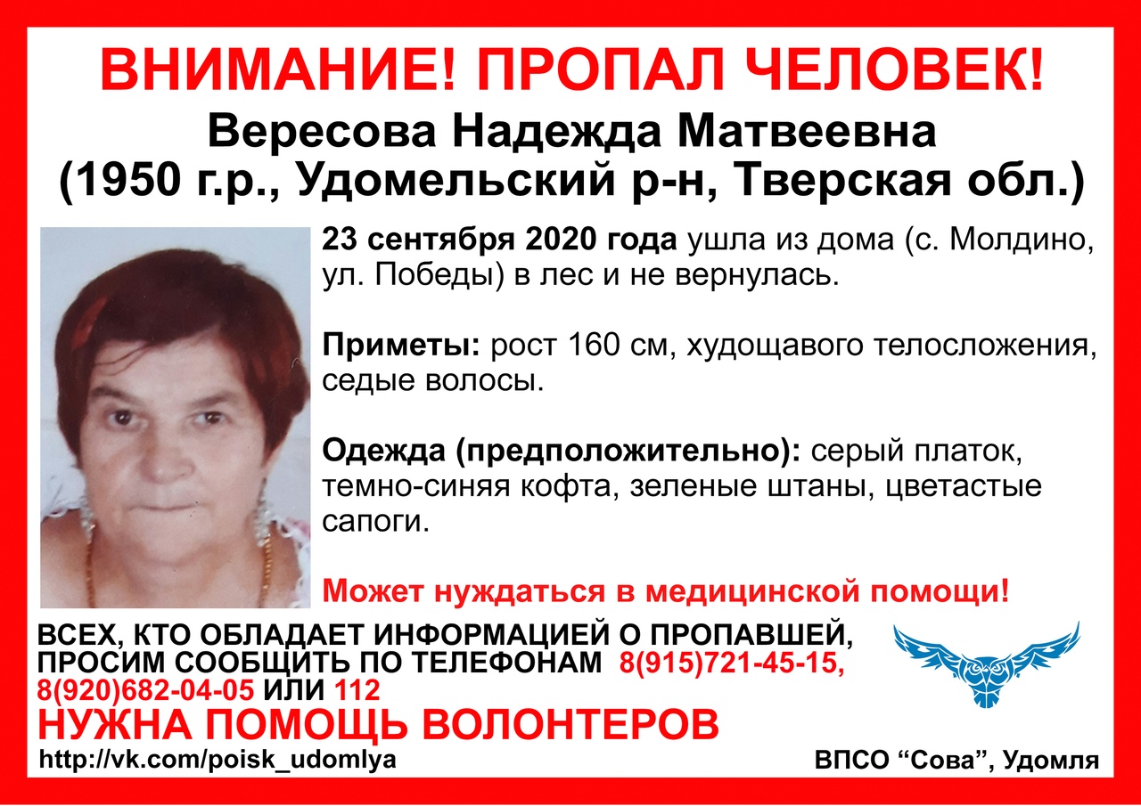 В лесах Удомельского района ищут 70-летнюю женщину