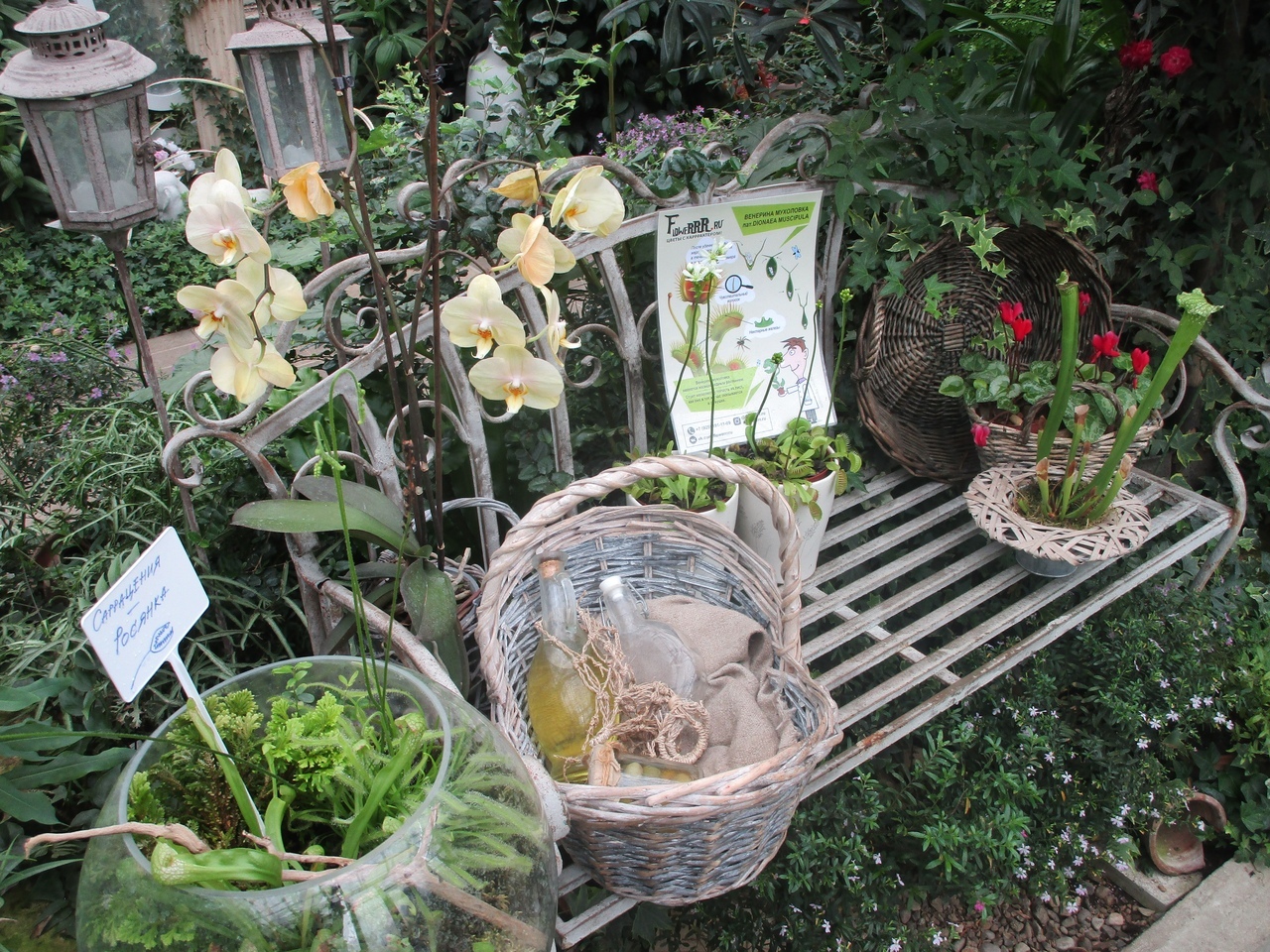 Ботанический сад Твери приглашает на увлекательные мастер-классы