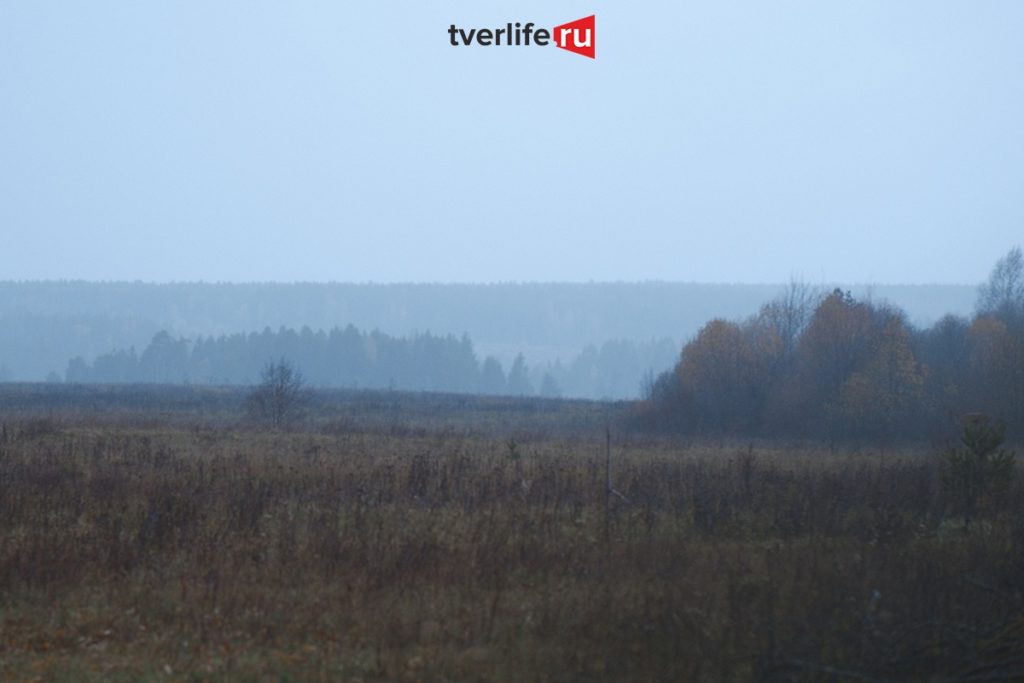 Тверскую область накрыло пасмурное небо