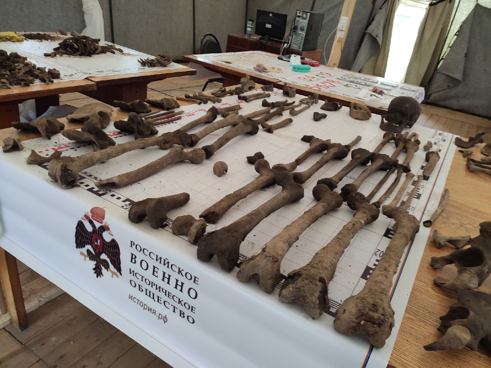 Андрей Белоцерковский на открытии экспедиции «Ржев. Калининский фронт»: Ржевский мемориал стал поклонным местом для всей страны