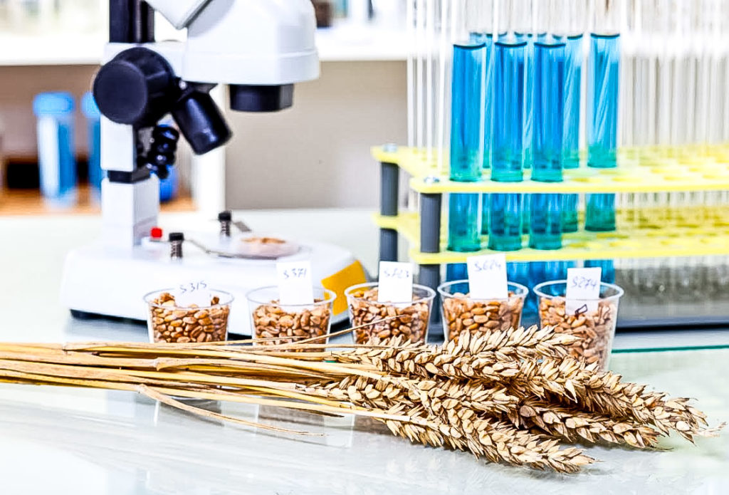 Россельхознадзор по Тверской области провел проверку растительной продукции в крупном гипермаркете