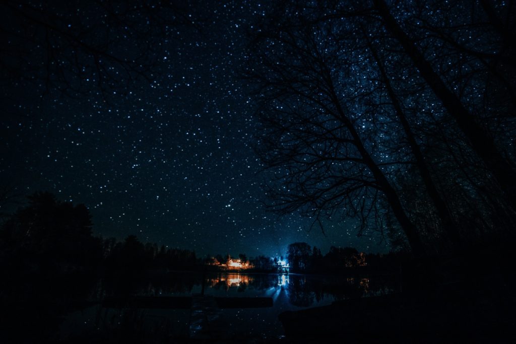 Красивая осень в Твери: как сочетать цвета в фотографии, чтобы снять шедевр