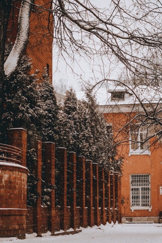 Красивая осень в Твери: как сочетать цвета в фотографии, чтобы снять шедевр