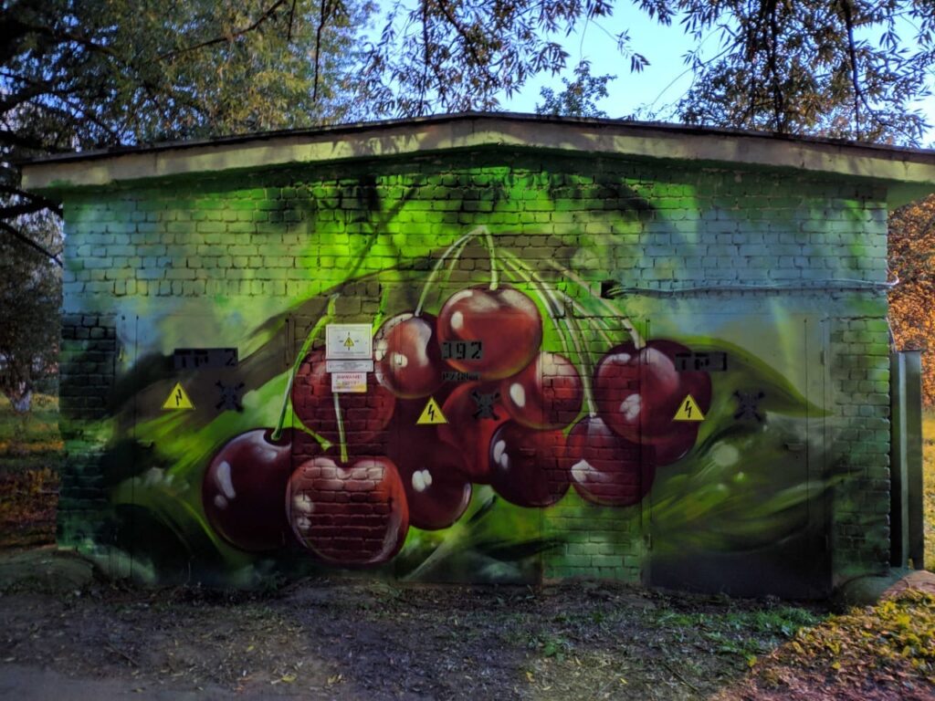 Тверские художники разрисовали стены трансформаторных подстанций