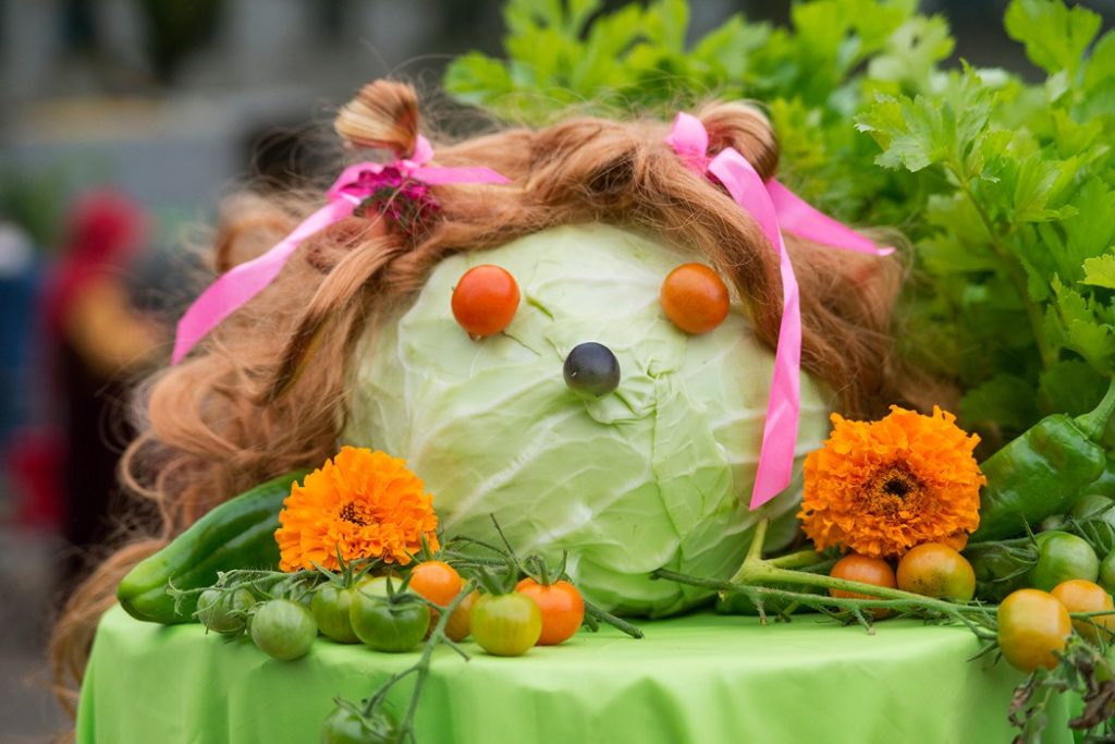 В Тверской области на фестивале «Барыня капуста-2020» откроется фермерская ярмарка