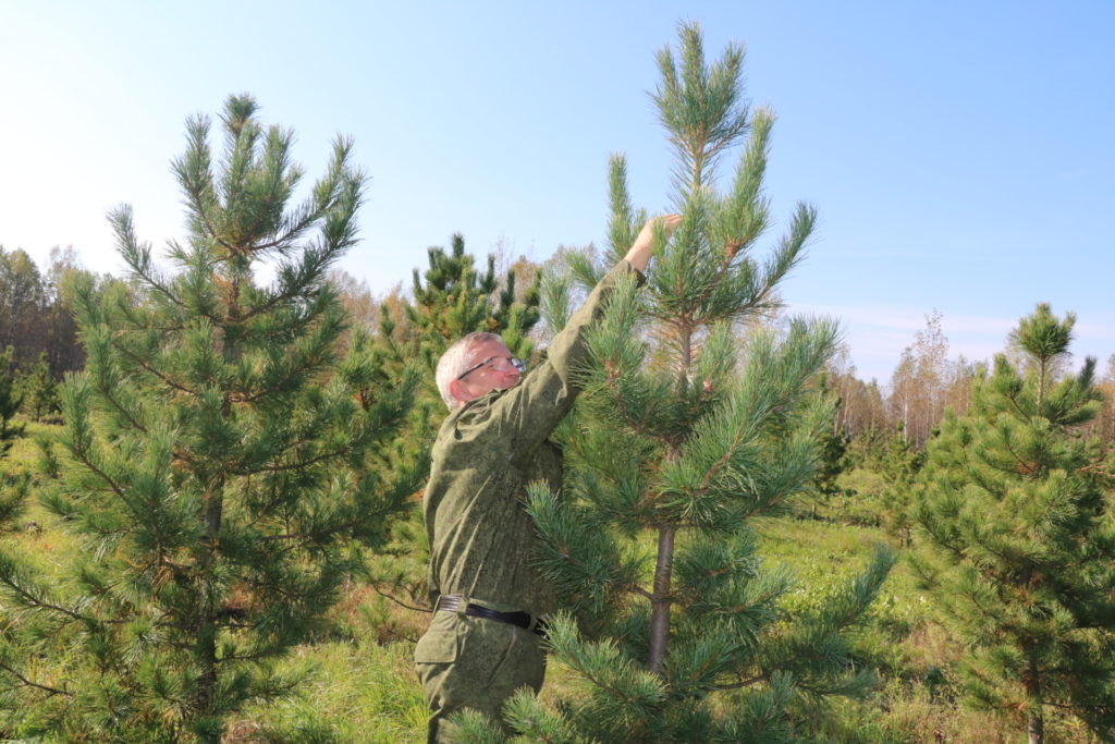 Игорь Руденя поздравил работников лесного комплекса Тверской области с профессиональным праздником Игорь Руденя поздравил работников лесного комплекса Тверской области с профессиональным праздником