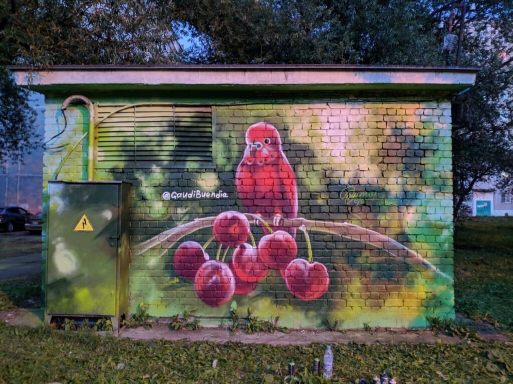 Тверские художники разрисовали стены трансформаторных подстанций