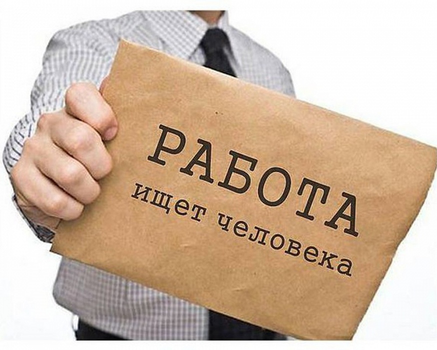 Елена Яковлева: Возможностей трудоустроиться стало намного больше Елена Яковлева: Возможностей трудоустроиться стало намного больше