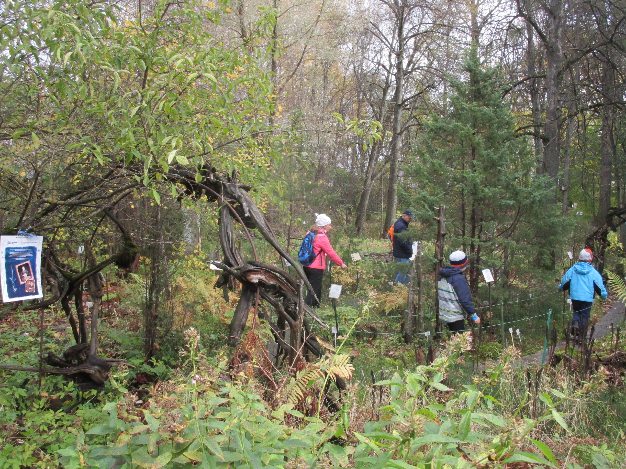 Гостей тверского Ботанического сада переносят в 19 век