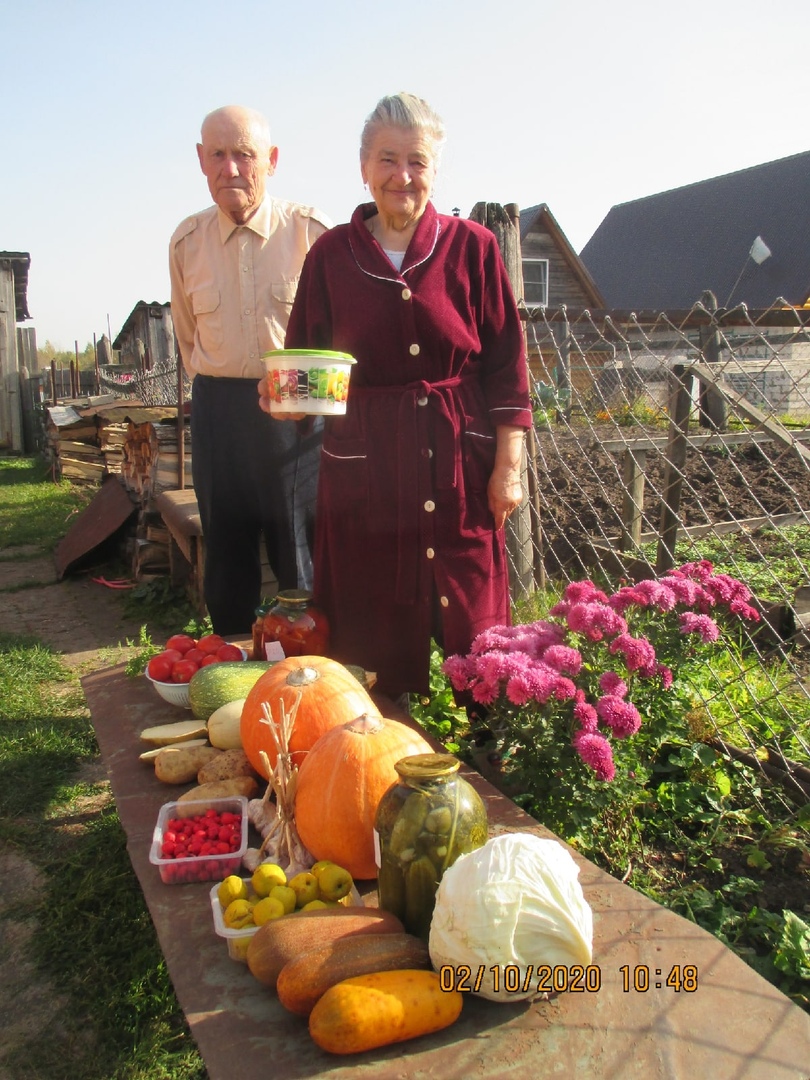 Торопецкие садоводы и огородники похвалились урожаем