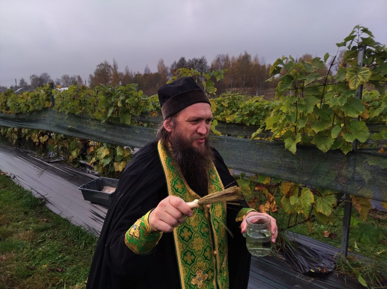 В Нило-Столобенской пустыни собрали урожай винограда