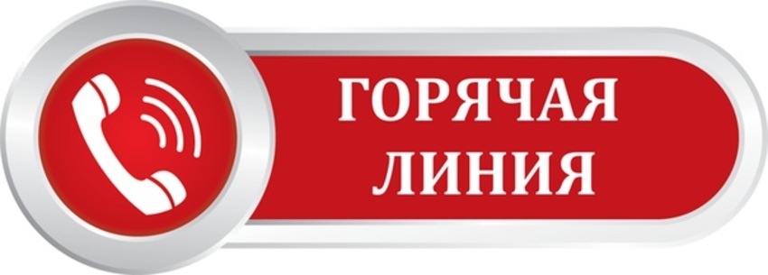 В Тверской области общественная палата открыла «горячую линию» по вопросам питания школьников В Тверской области общественная палата открыла «горячую линию» по вопросам питания школьников