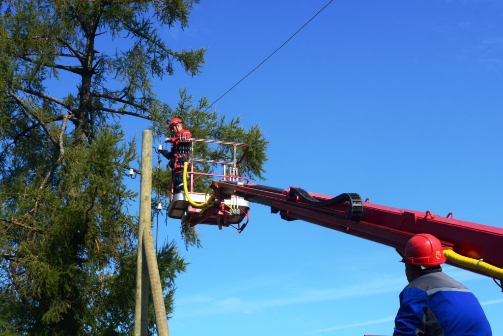 Жители деревни Денисова Горка Бологовского района выразили благодарность специалистам Тверьэнерго