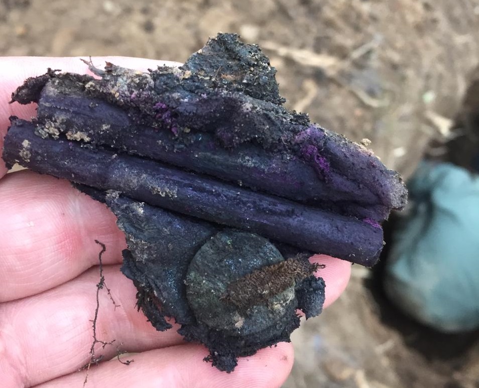 Останки семи красноармейцев в тулупах и валенках нашли в Тверской области