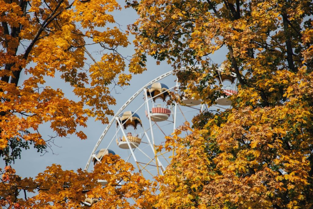 Южный ветер вернет тепло в Тверскую область