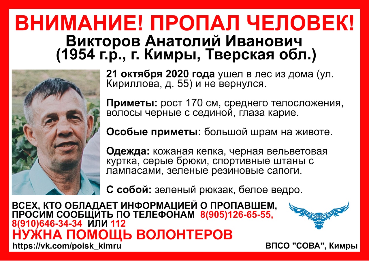 В Тверской области мужчина ушел за клюквой и пропал