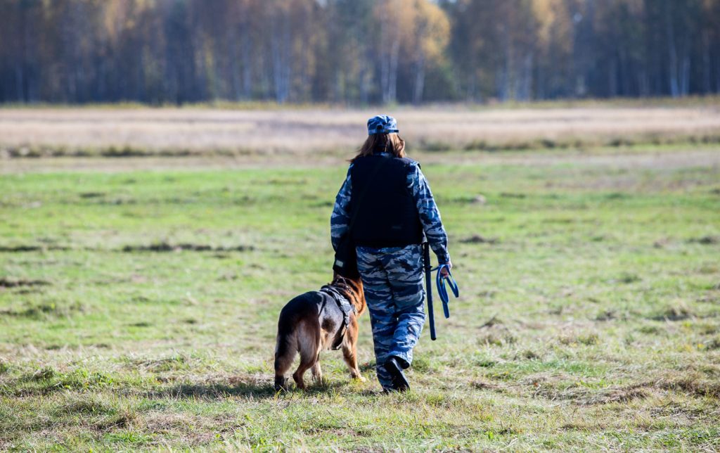 На аэродроме под Тверью прошли масштабные контртеррористические учения