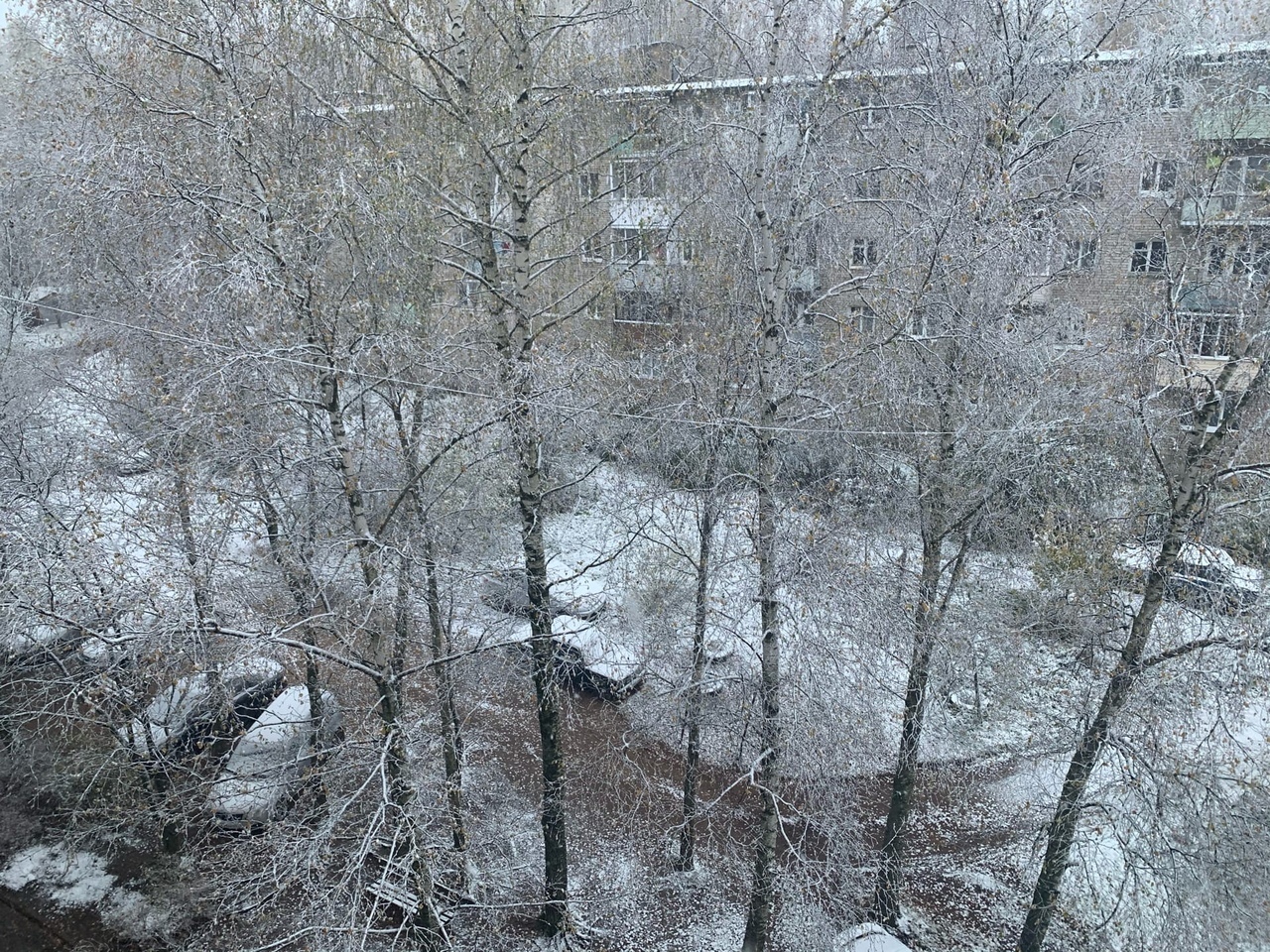 Жители Тверской области делятся фотографиями первого снега