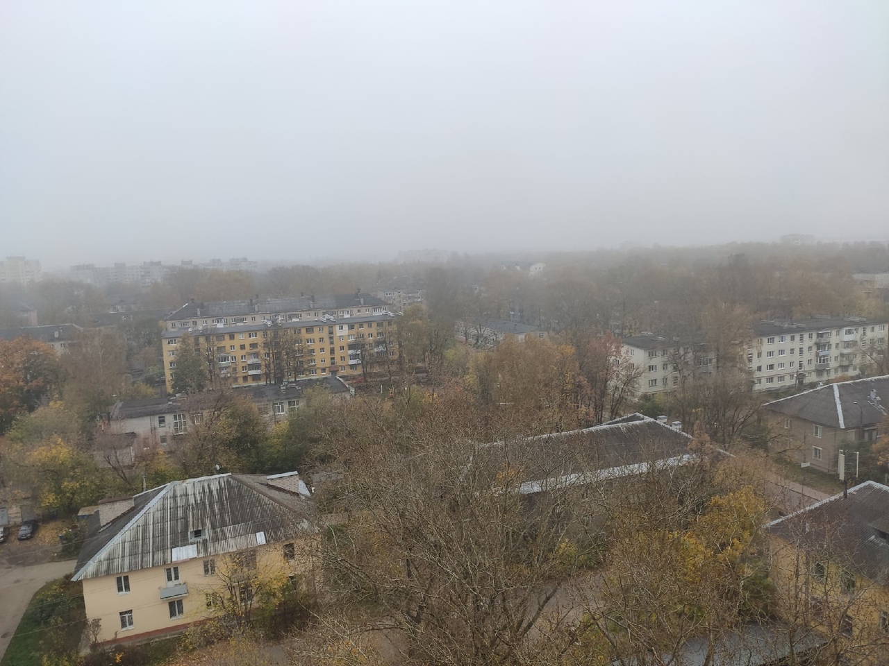 Второй день подряд Тверскую область накрывает густой туман