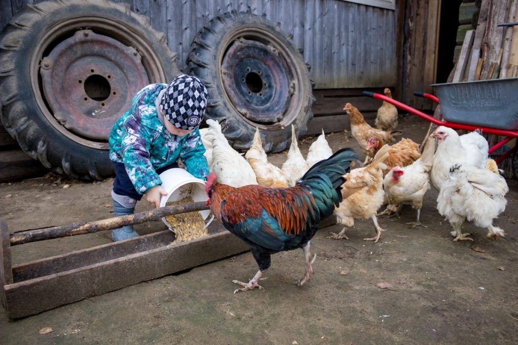 Многодетная семья из Лихославльского района поборется в конкурсе за микроавтобус